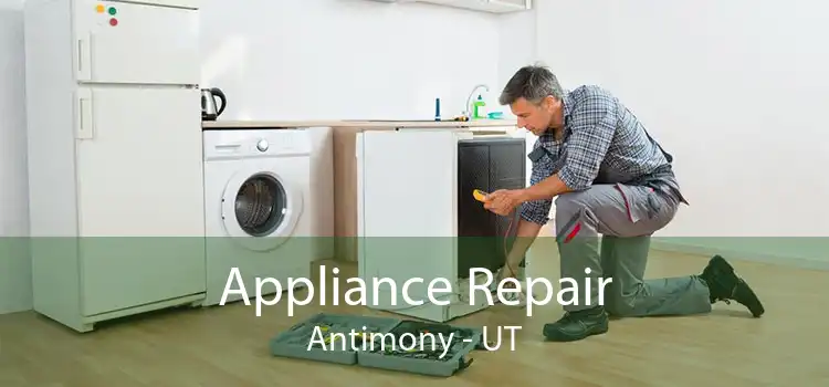 Appliance Repair Antimony - UT