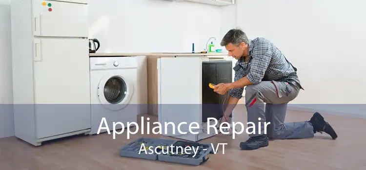 Appliance Repair Ascutney - VT