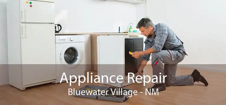 Appliance Repair Bluewater Village - NM