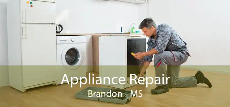 Appliance Repair Brandon - MS