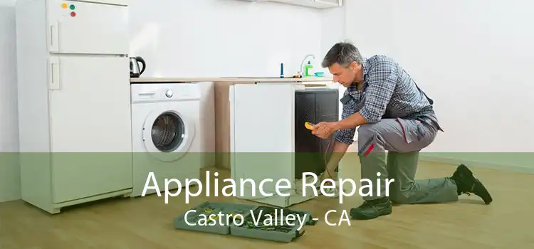 Appliance Repair Castro Valley - CA