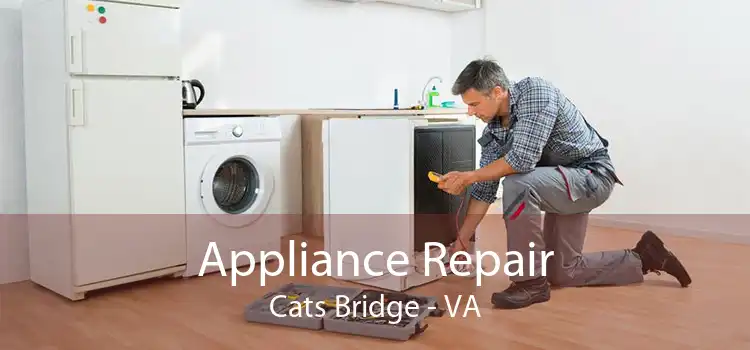 Appliance Repair Cats Bridge - VA