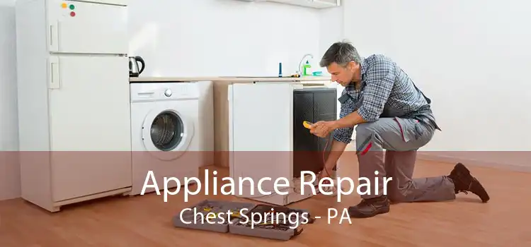 Appliance Repair Chest Springs - PA