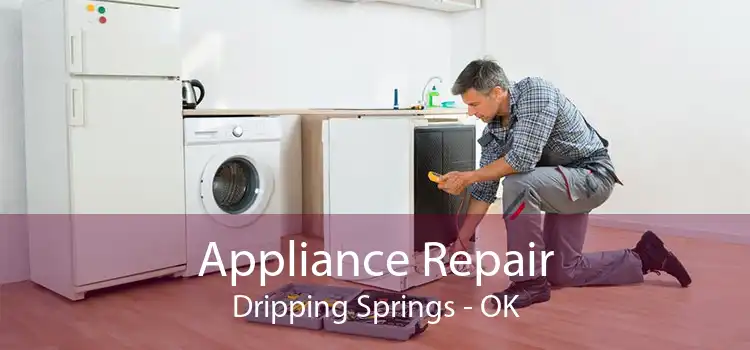 Appliance Repair Dripping Springs - OK