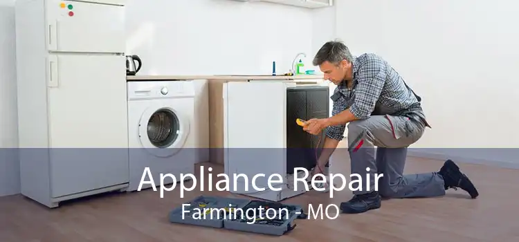 Appliance Repair Farmington - MO