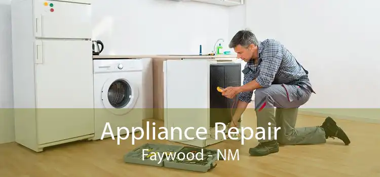 Appliance Repair Faywood - NM