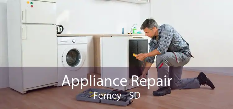Appliance Repair Ferney - SD
