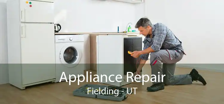 Appliance Repair Fielding - UT