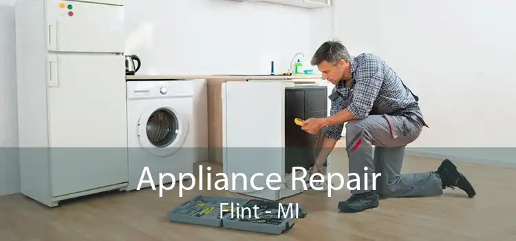 Appliance Repair Flint - MI