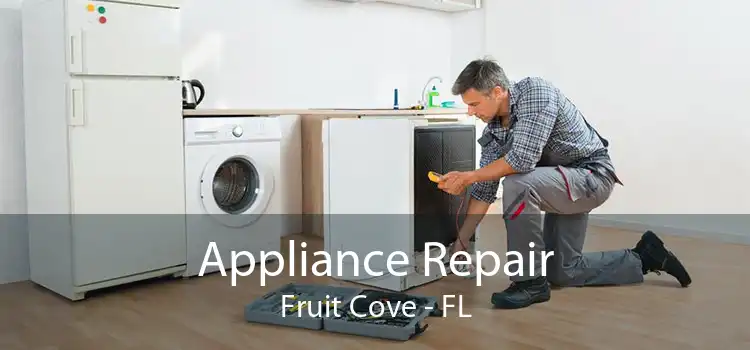Appliance Repair Fruit Cove - FL