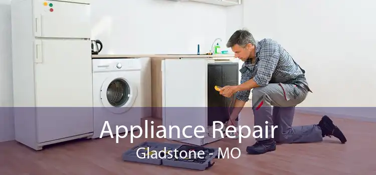 Appliance Repair Gladstone - MO