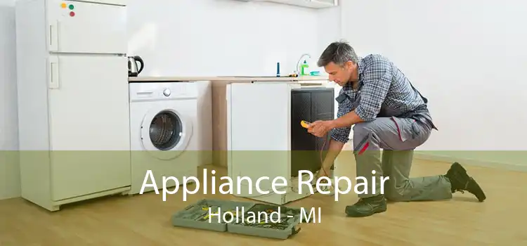 Appliance Repair Holland - MI