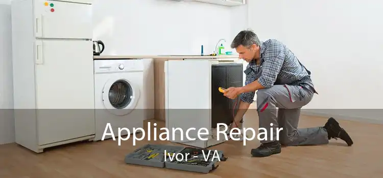 Appliance Repair Ivor - VA