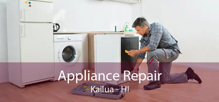 Appliance Repair Kailua - HI