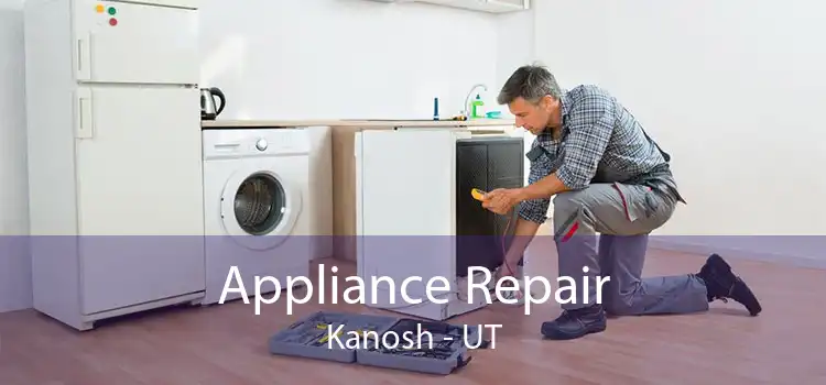 Appliance Repair Kanosh - UT