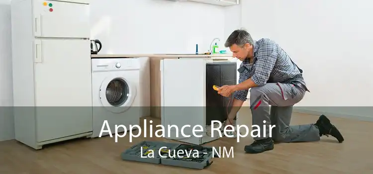 Appliance Repair La Cueva - NM