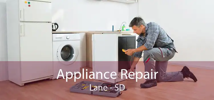 Appliance Repair Lane - SD