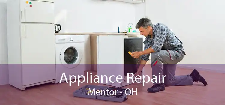 Appliance Repair Mentor - OH