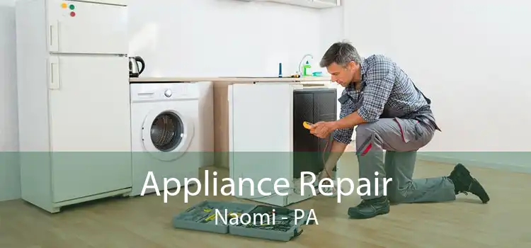 Appliance Repair Naomi - PA
