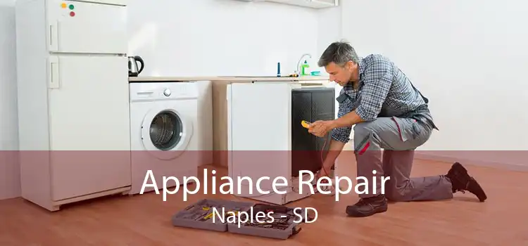 Appliance Repair Naples - SD