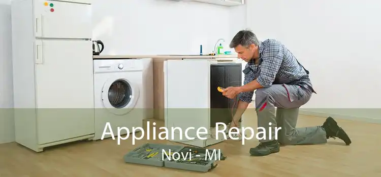 Appliance Repair Novi - MI