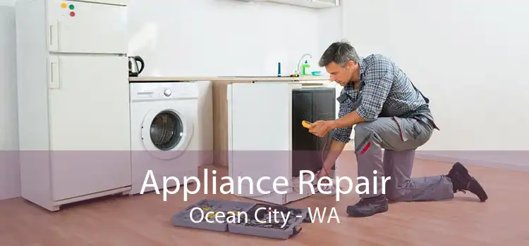 Appliance Repair Ocean City - WA
