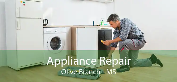 Appliance Repair Olive Branch - MS