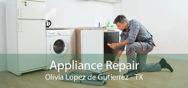 Appliance Repair Olivia Lopez de Gutierrez - TX