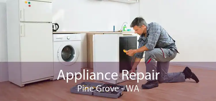 Appliance Repair Pine Grove - WA