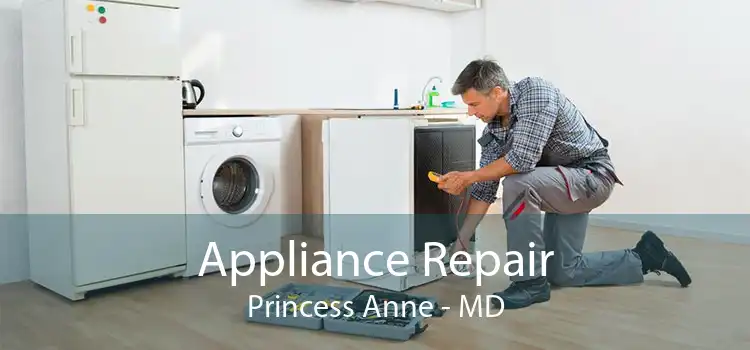 Appliance Repair Princess Anne - MD