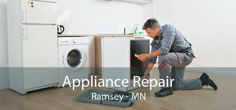 Appliance Repair Ramsey - MN