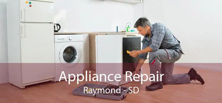 Appliance Repair Raymond - SD
