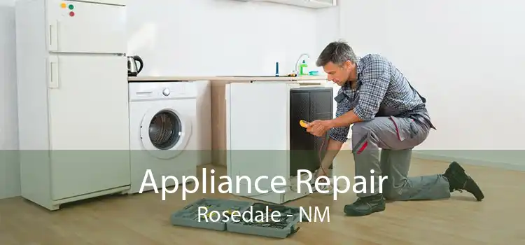 Appliance Repair Rosedale - NM