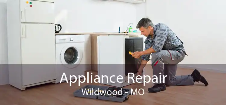 Appliance Repair Wildwood - MO