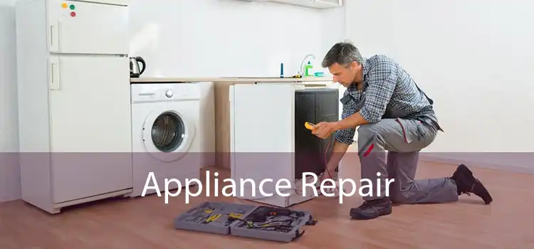  Appliance Repair 