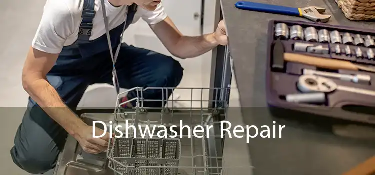 Dishwasher Repair 