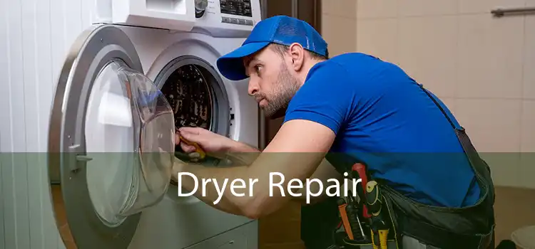 Dryer Repair 