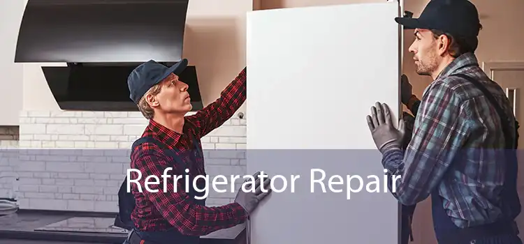 Refrigerator Repair 