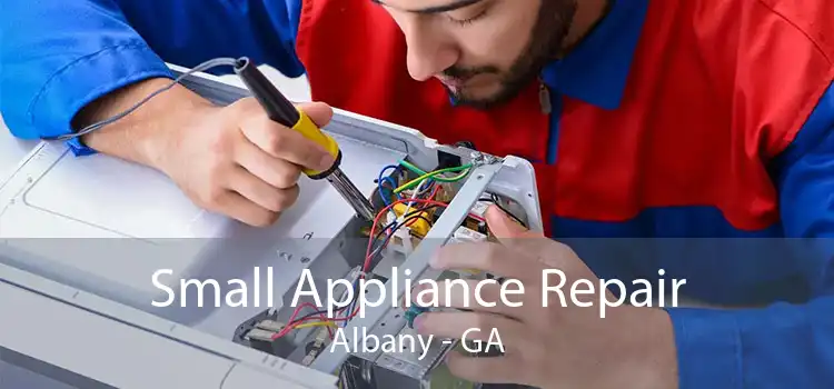 Small Appliance Repair Albany - GA