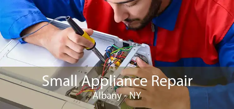 Small Appliance Repair Albany - NY