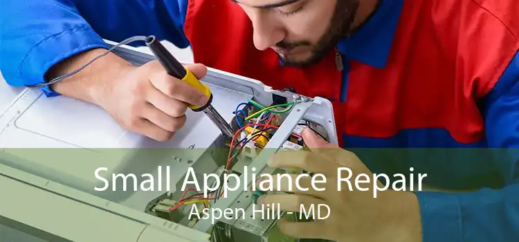 Small Appliance Repair Aspen Hill - MD