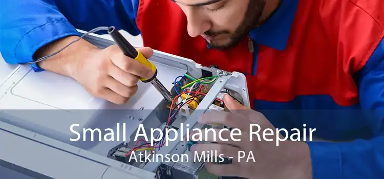 Small Appliance Repair Atkinson Mills - PA
