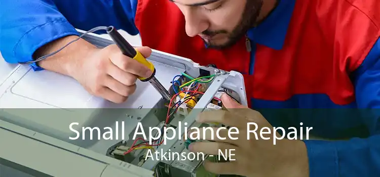 Small Appliance Repair Atkinson - NE