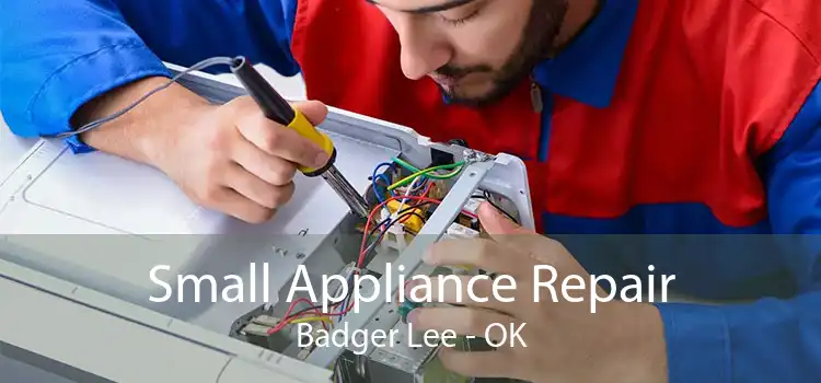 Small Appliance Repair Badger Lee - OK