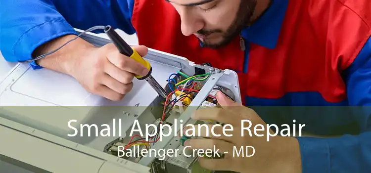 Small Appliance Repair Ballenger Creek - MD
