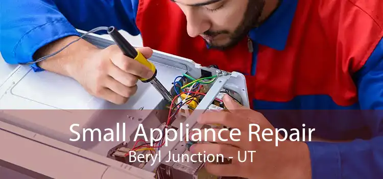 Small Appliance Repair Beryl Junction - UT