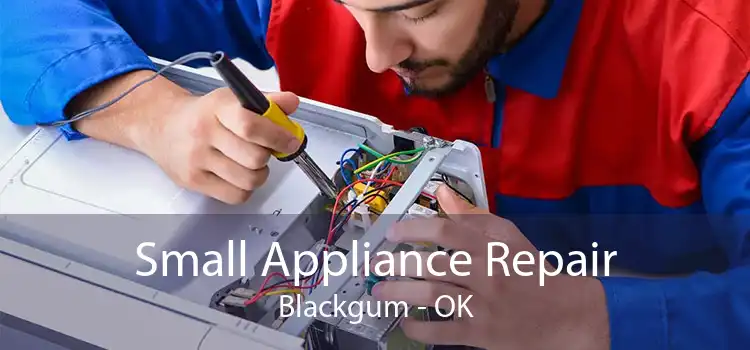 Small Appliance Repair Blackgum - OK
