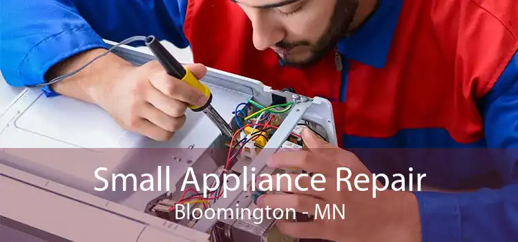 Small Appliance Repair Bloomington - MN