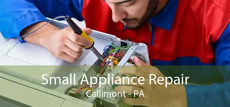 Small Appliance Repair Callimont - PA