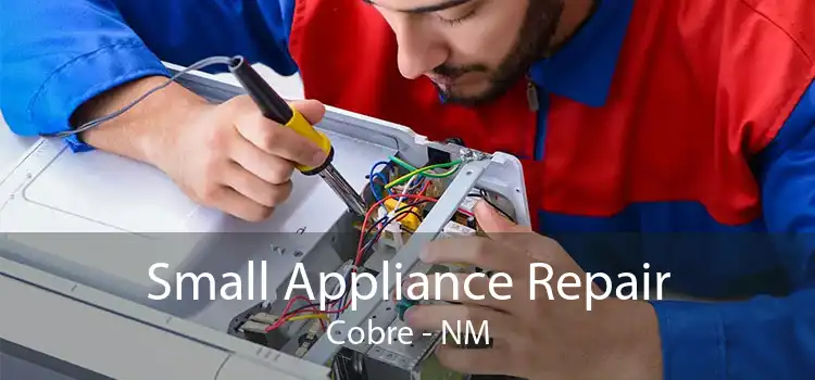 Small Appliance Repair Cobre - NM